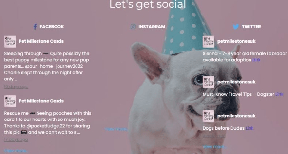 社群媒體行銷 社群媒體行銷